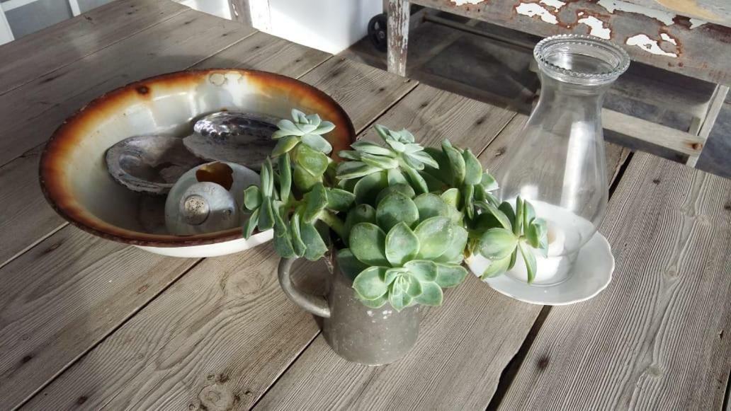 Dreamy Beach Room Melkbosstrand Exterior foto